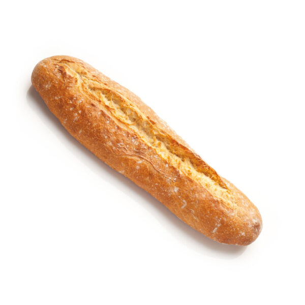 Chatta Miga Blanca